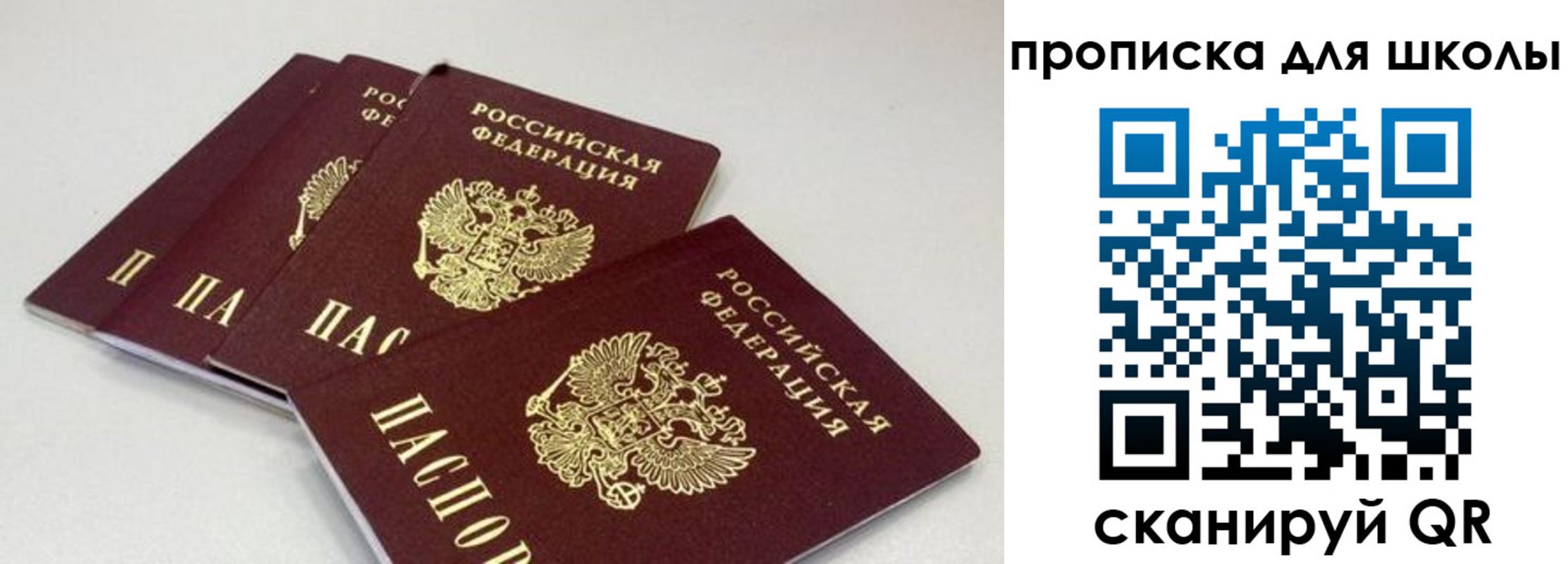 где прописаться в Калининграде